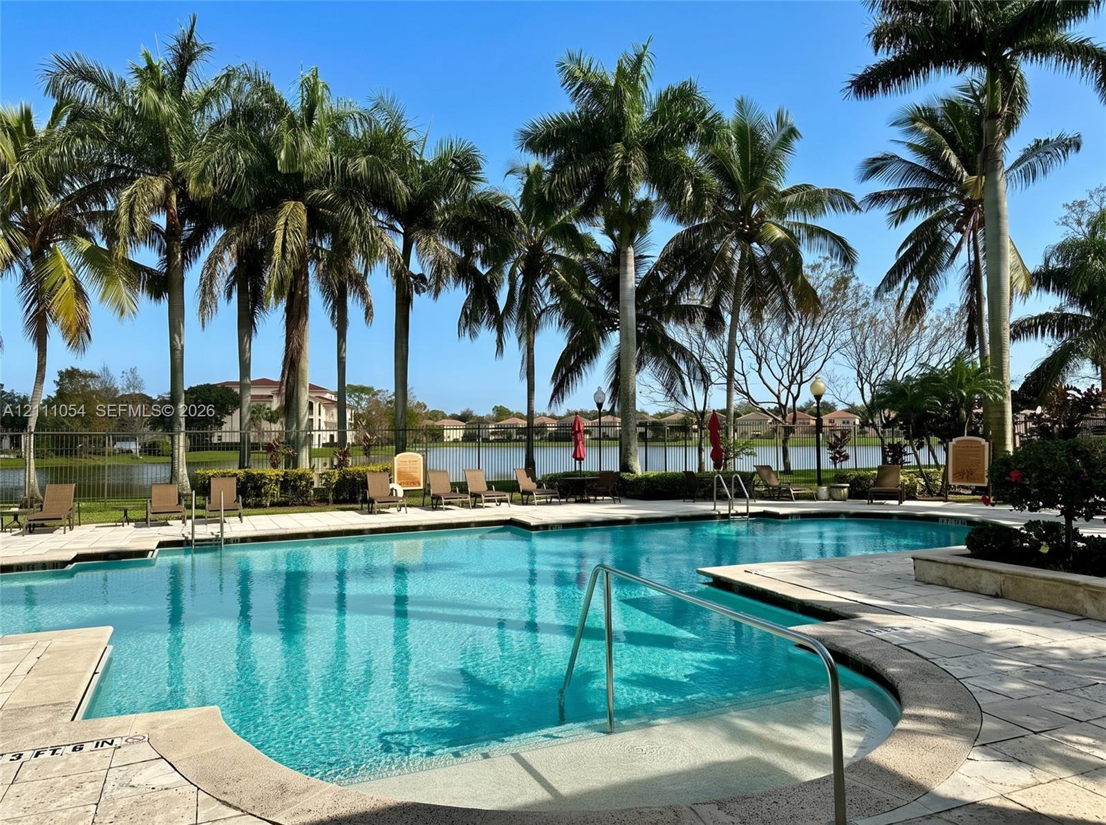 In-ground swimming pool featuring a stone-tile deck, integrated metal handrails, and surrounding mature palm trees