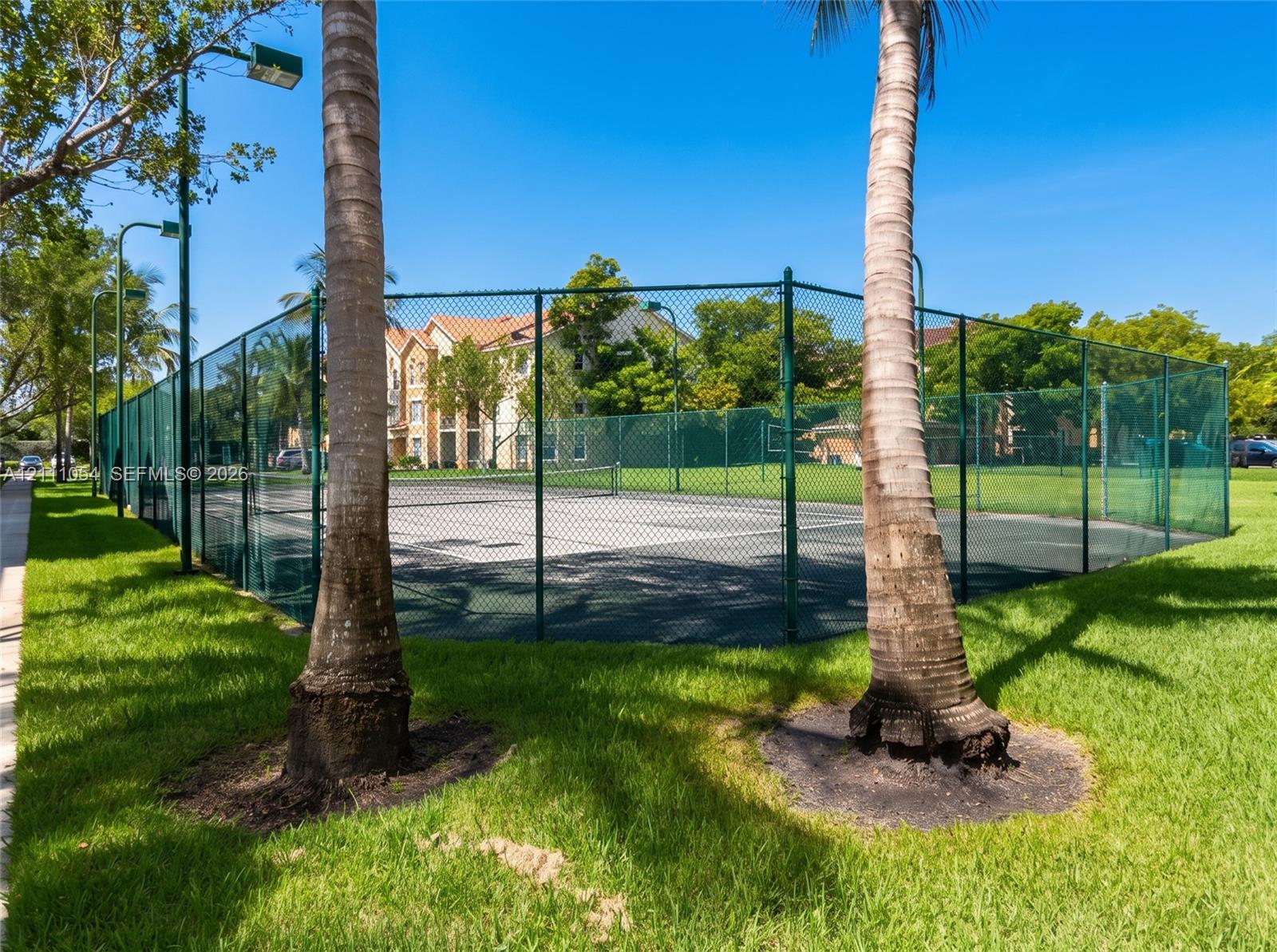 Fenced tennis court featuring a hard surface, surrounding chain-link enclosure, and mature palm trees