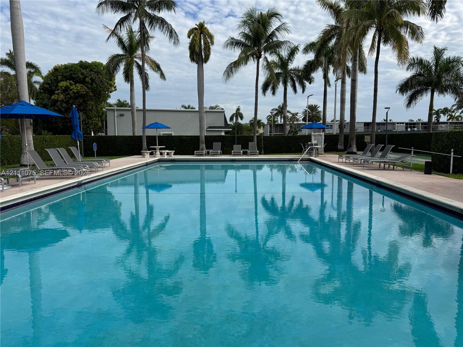 Rectangular swimming pool featuring a concrete deck and perimeter privacy hedge