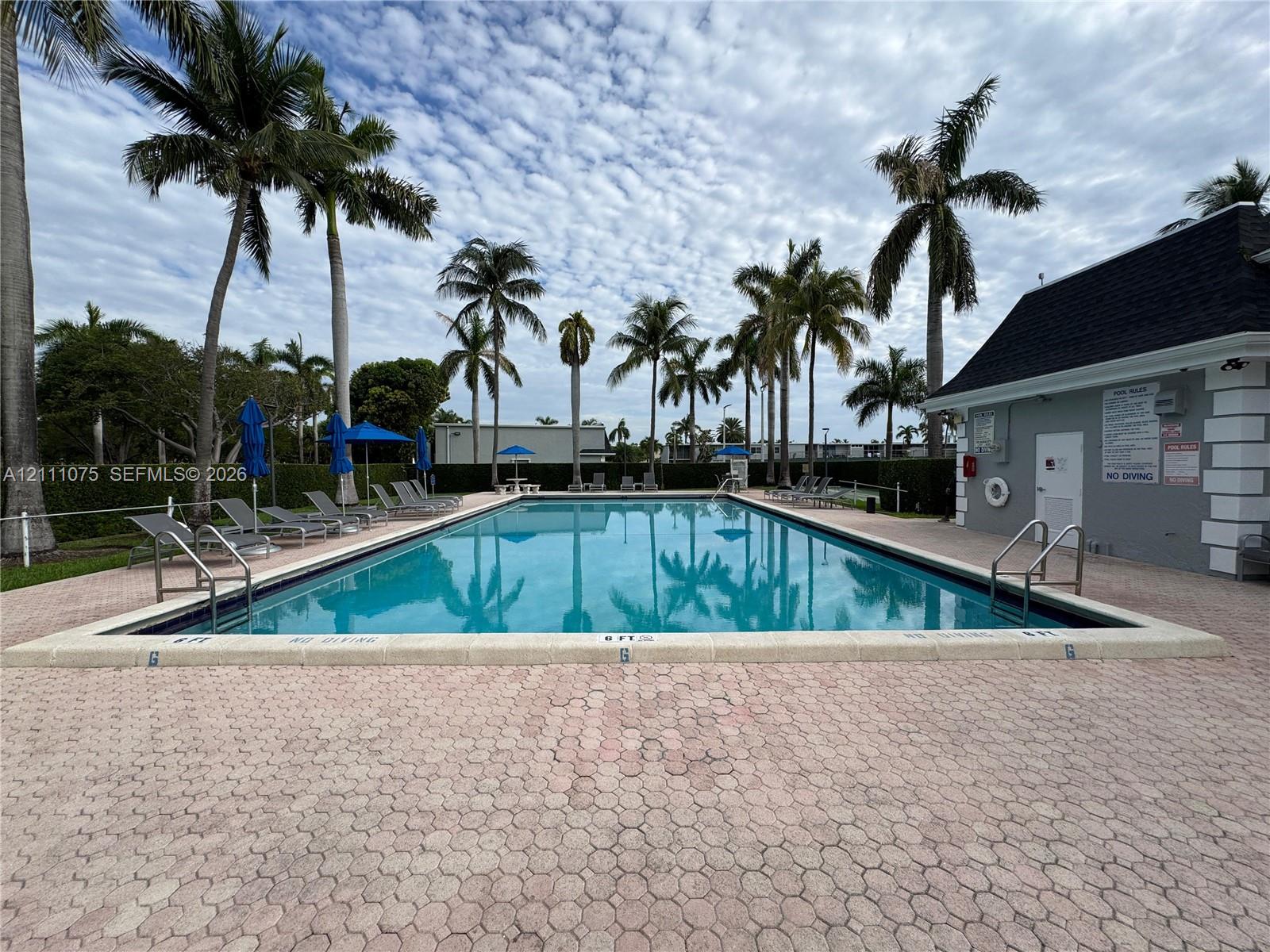 Rectangular swimming pool featuring a concrete deck, built-in metal ladders, perimeter landscaping, and tall palm trees