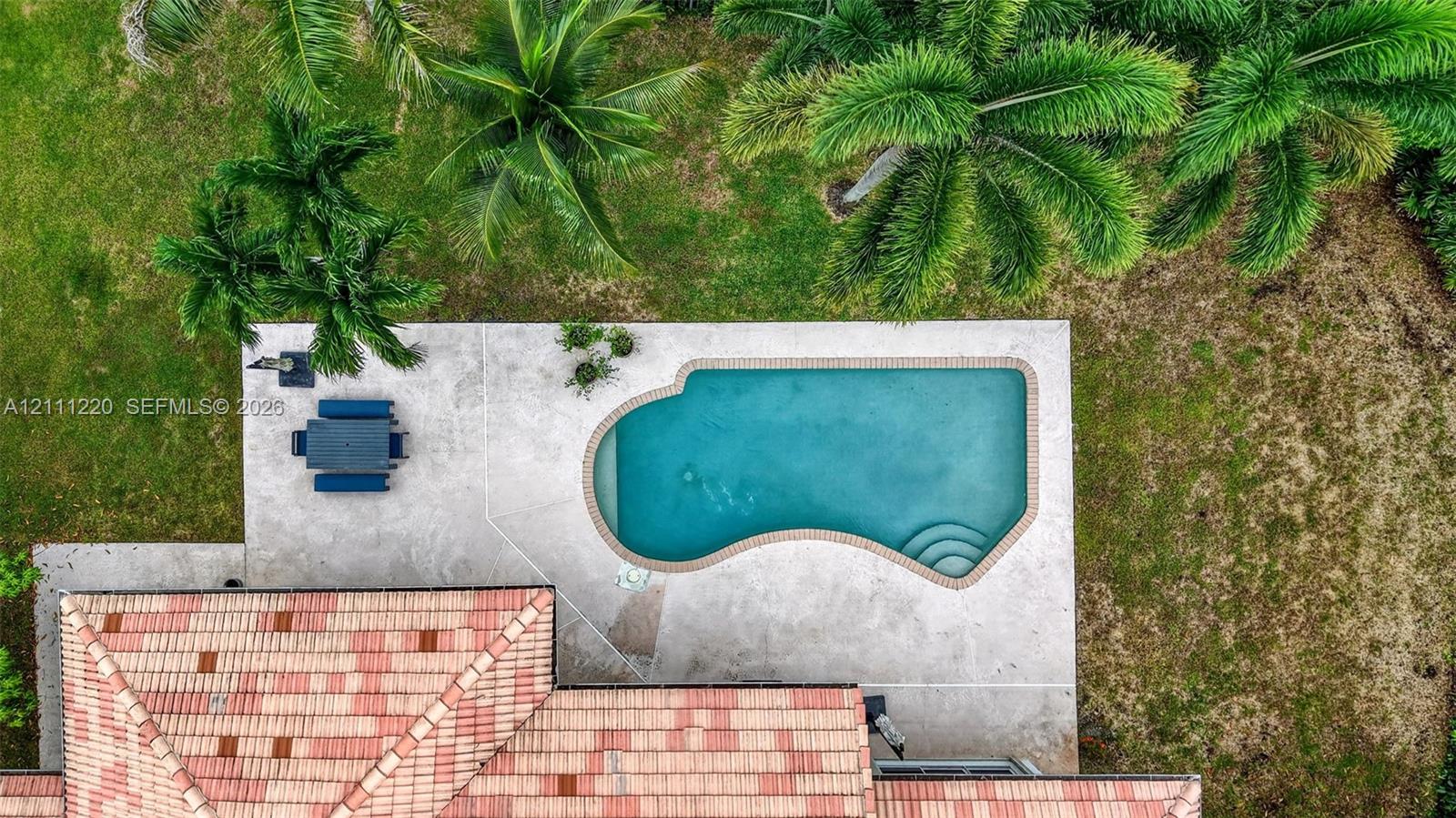 Aerial view of a sprawling property featuring an expansive concrete pool deck, in-ground swimming pool with integrated steps, terra-cotta tile roofing, and mature palm trees