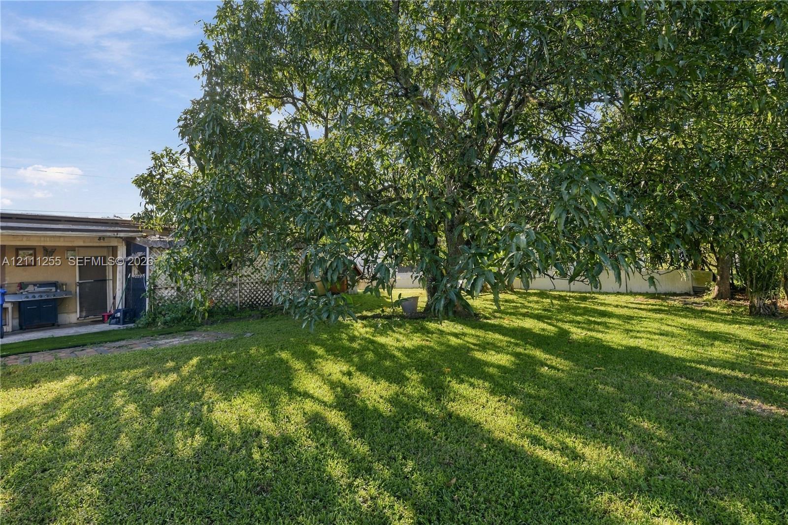 Expansive backyard featuring a large mature tree, lawn area, lattice fencing, and a concrete patio