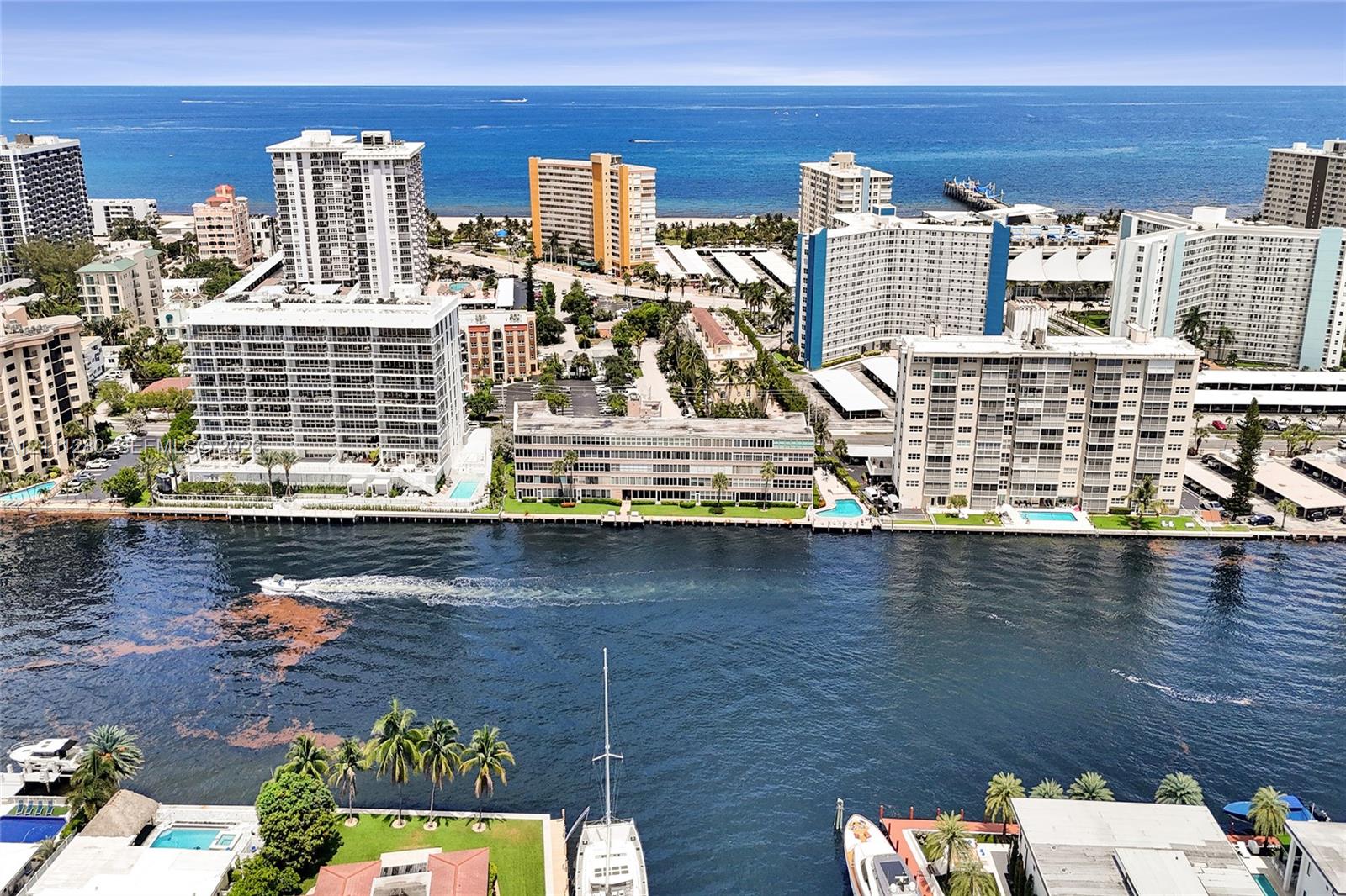 Photo 55