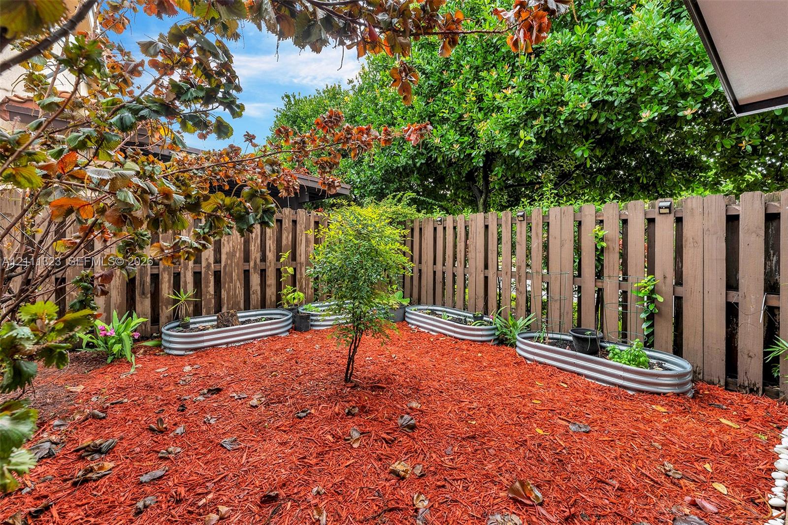 Private backyard featuring a tall wood privacy fence, organic mulch ground cover, and multiple galvanized steel raised garden beds