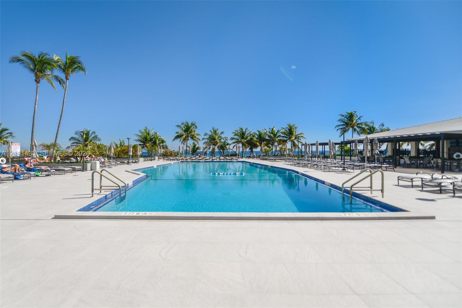 Rectangular swimming pool featuring tile coping, metal handrails, and a surrounding expansive concrete deck lined with mature palm trees