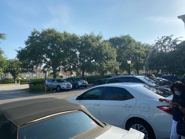 Paved surface parking area with designated stalls, mature trees, and installed exterior lighting