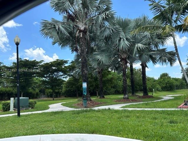 Expansive lawn featuring established palm trees, a concrete pathway, and decorative street lighting
