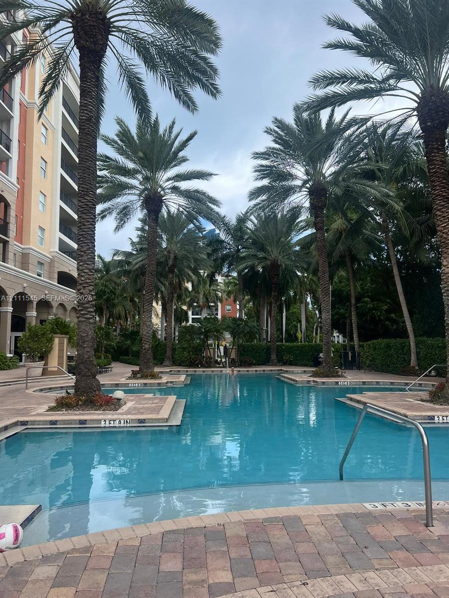 Swimming pool with paver decking, surrounding palm trees, and metal handrails Swimming pool with paver decking, surrounding palm trees, and metal handrails