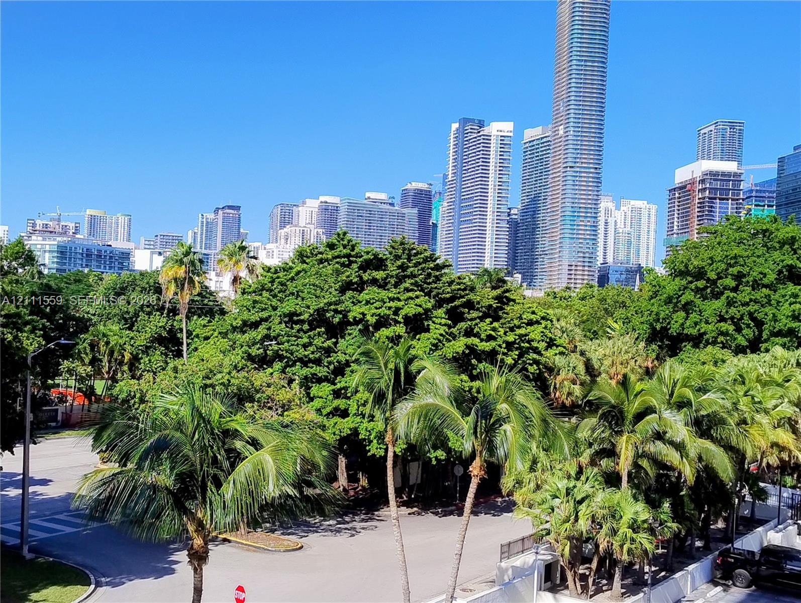 Urban skyline backdrop featuring high-rise buildings and mature tropical landscaping including palm trees