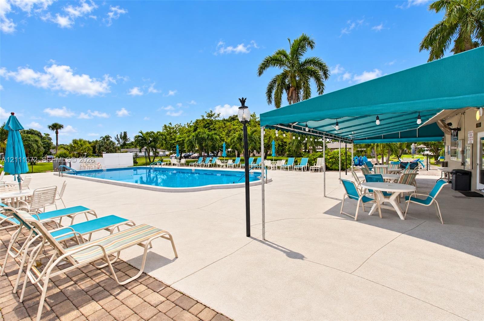 Swimming pool with a paved deck, permanent shaded terrace, and mature palm trees