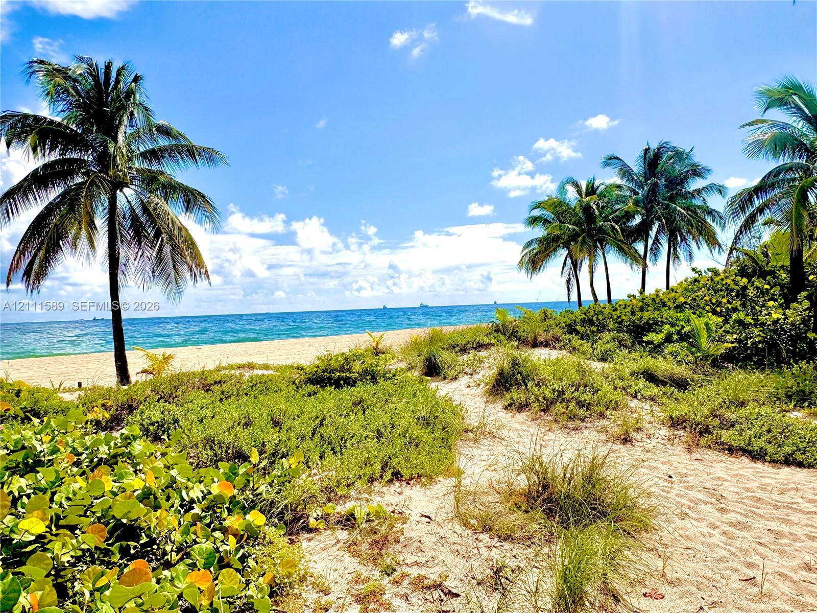 Sandy path leading to a beachfront featuring dune vegetation and mature palm trees