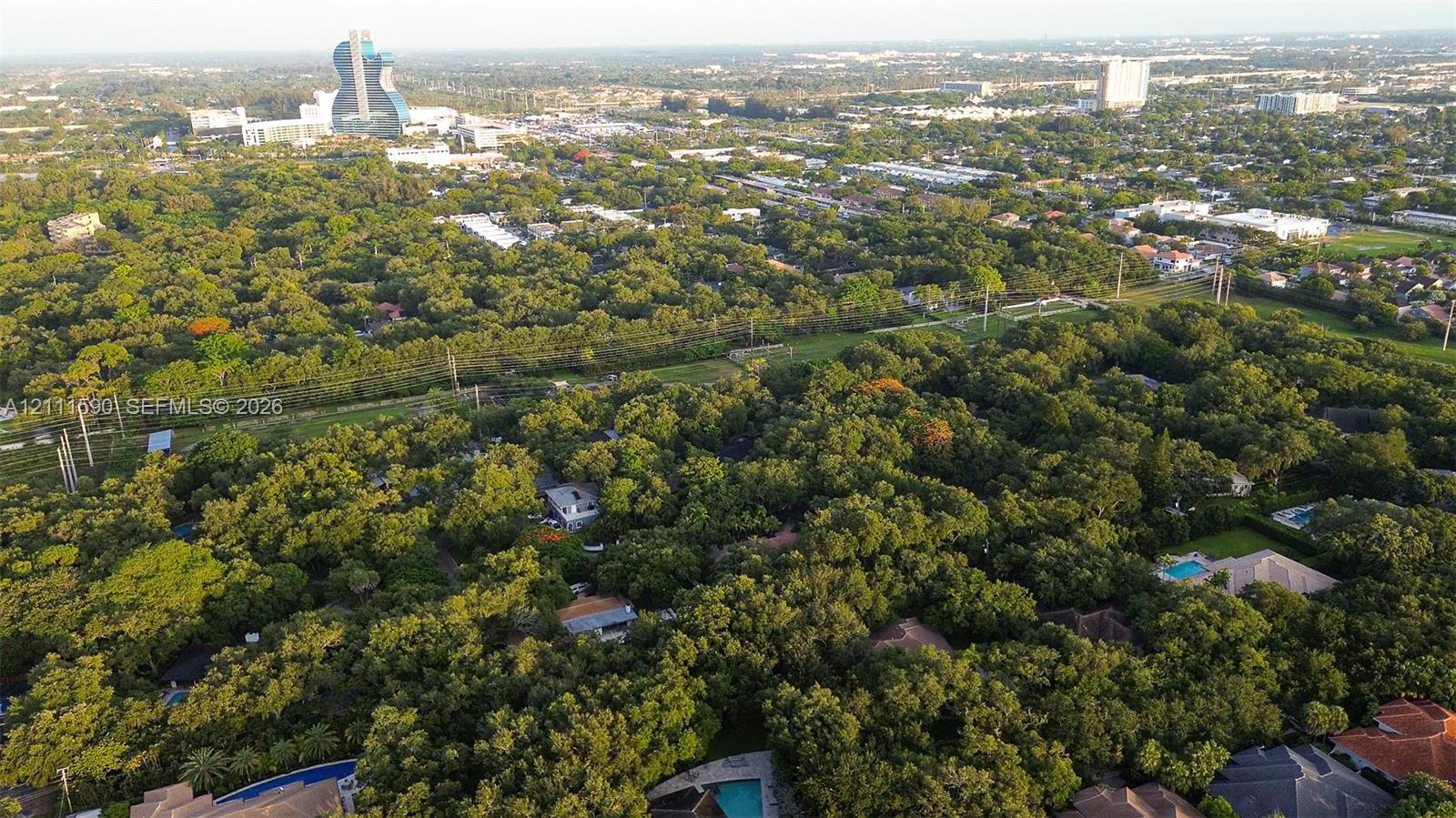 Aerial perspective of a heavily wooded residential landscape featuring mature canopy trees and expansive suburban greenery