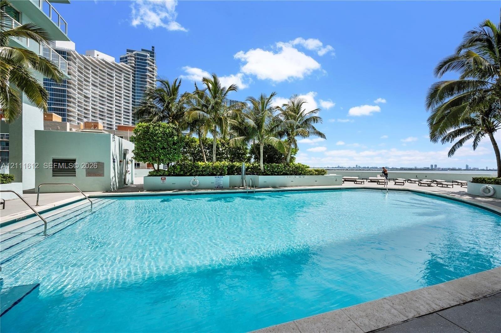 Outdoor swimming pool with metal handrails, concrete decking, mature palm trees, and low-rise landscaping