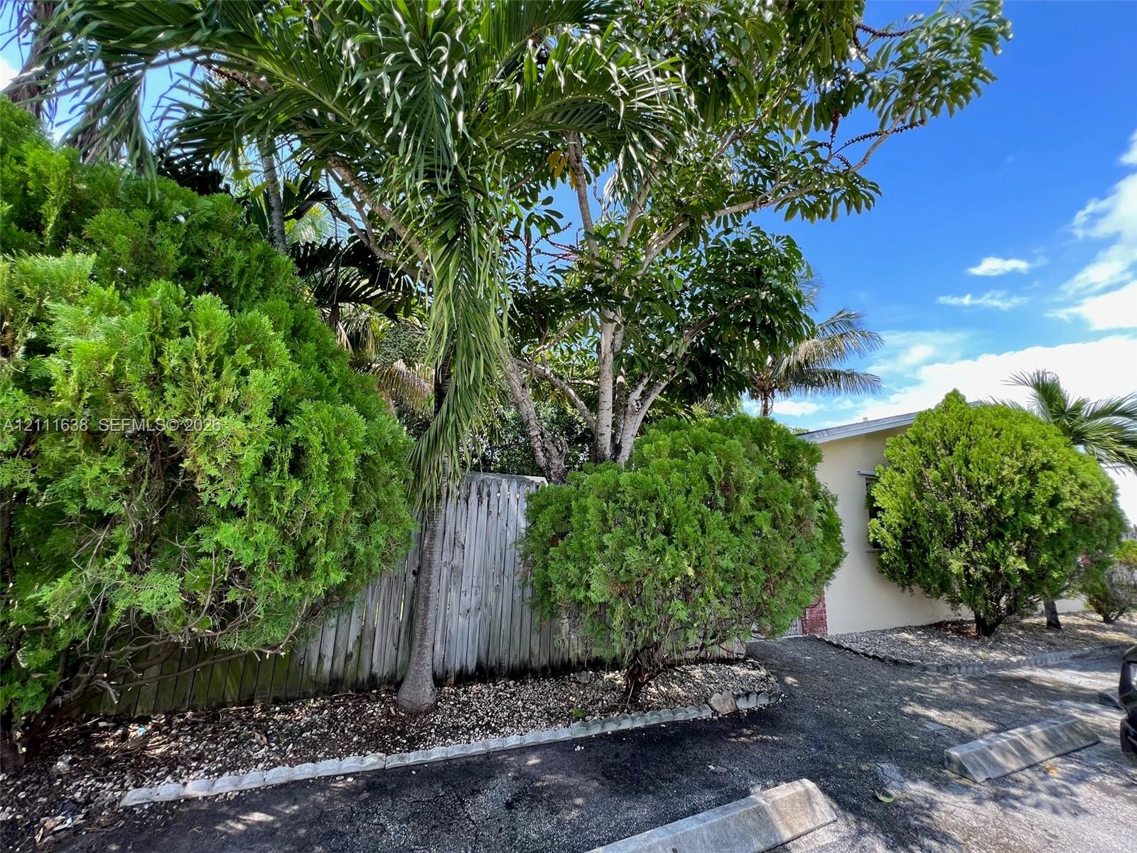 Exterior grounds featuring mature palm and evergreen trees, wood-slat fencing, and decorative stone landscaping Exterior grounds featuring mature palm and evergreen trees, wood-slat fencing, and decorative stone landscaping