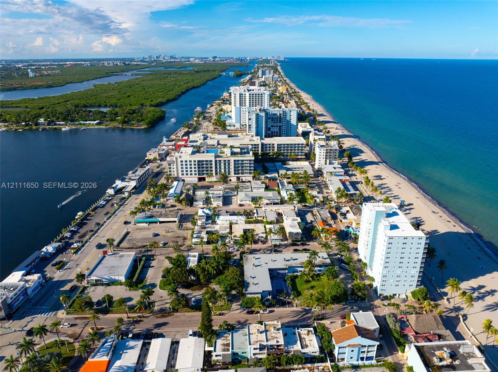 Aerial perspective of coastal landscape featuring expansive ocean shoreline, intercoastal waterways, mature palm trees, and dense urban development