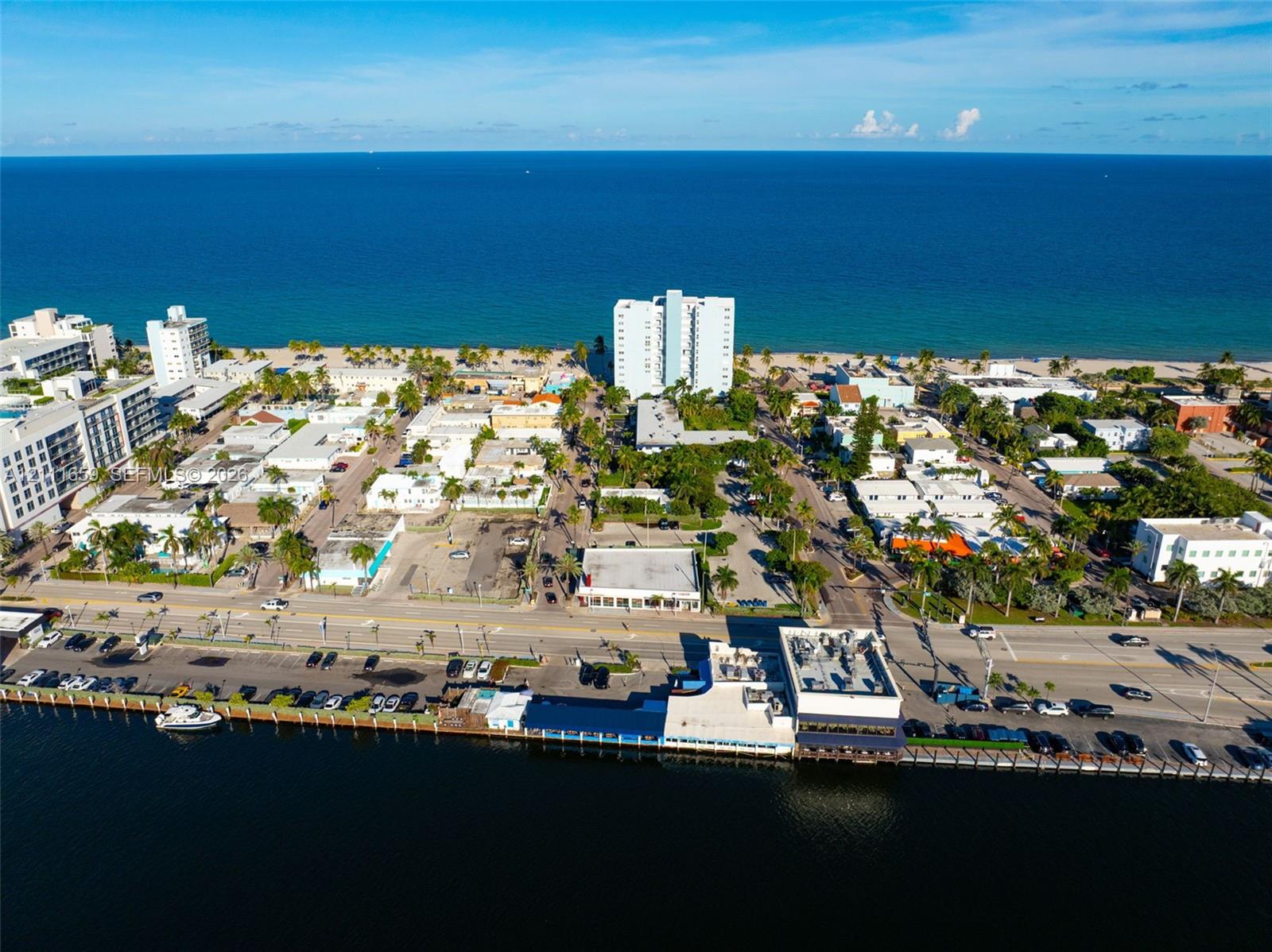 Aerial perspective of coastal landscape featuring ocean frontage, sandy beaches, established palm trees, and waterfront infrastructure
