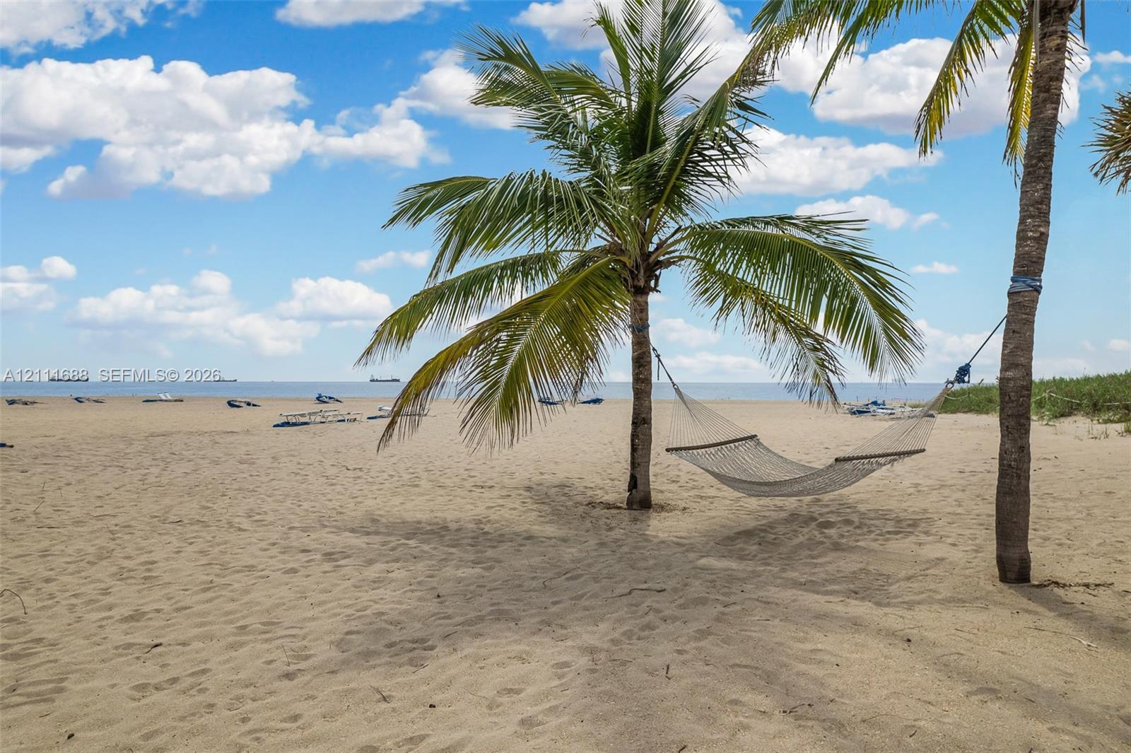 Private sandy shoreline featuring mature palm trees and direct water access Private sandy shoreline featuring mature palm trees and direct water access