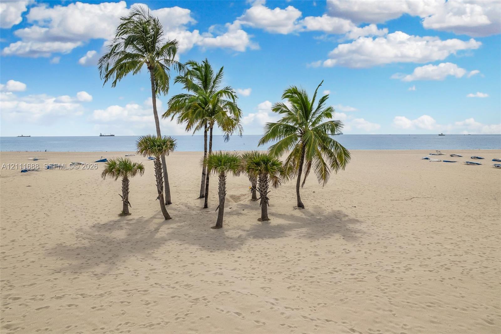 Sandy beachfront landscape featuring mature palm trees and direct ocean frontage
