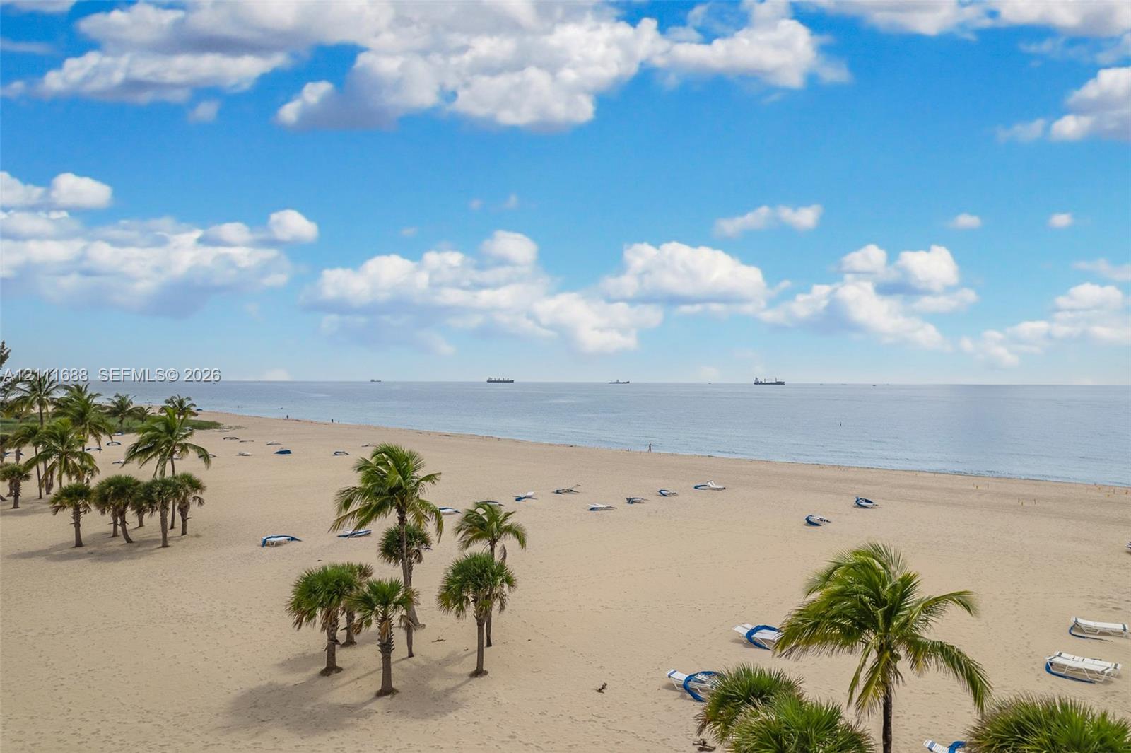 Sandy coastline featuring expansive shoreline and mature palm trees