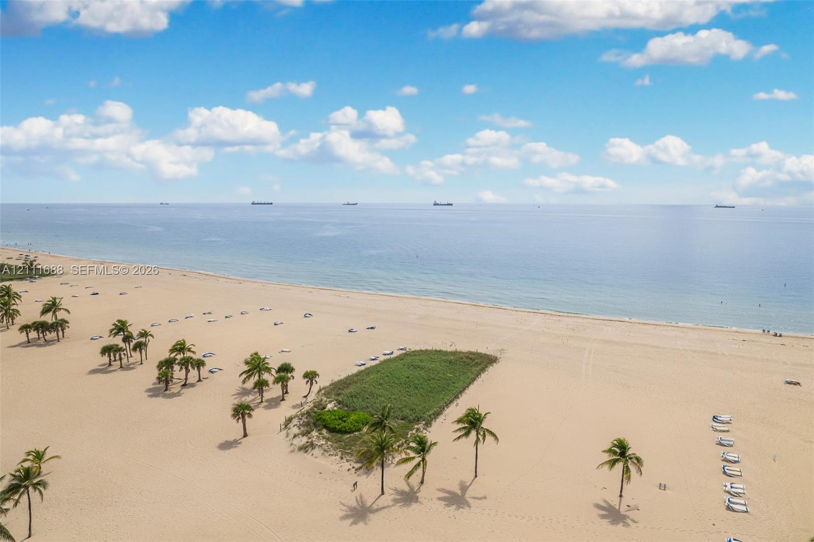 Direct oceanfront access featuring expansive sandy shoreline, scattered mature palms, and open water horizon Direct oceanfront access featuring expansive sandy shoreline, scattered mature palms, and open water horizon