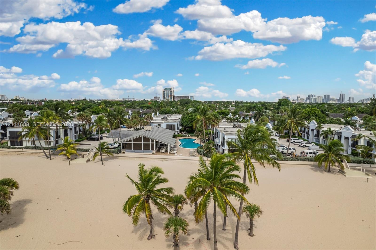 Oceanfront property featuring direct beach access, an outdoor swimming pool, and mature palm trees