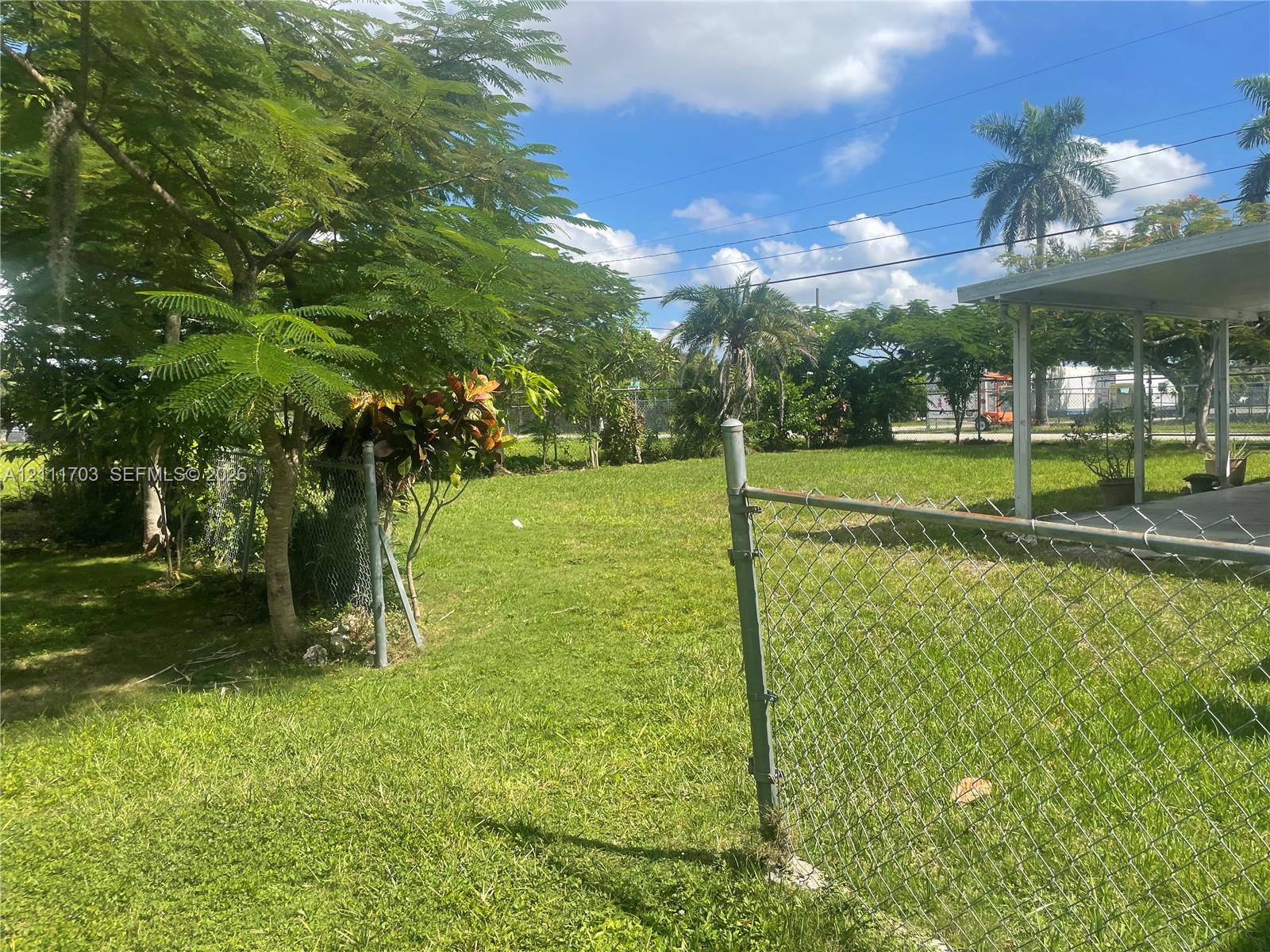 Grassy backyard featuring a chain-link fence, mature trees, and a covered concrete patio
