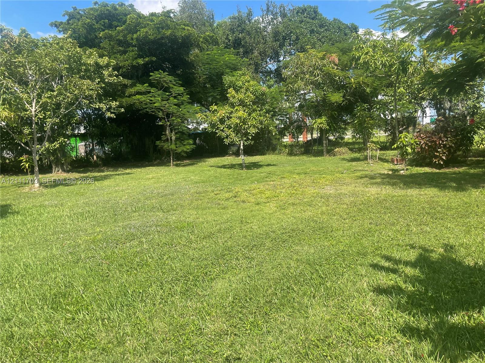 Expansive backyard featuring a sprawling lawn and mature trees