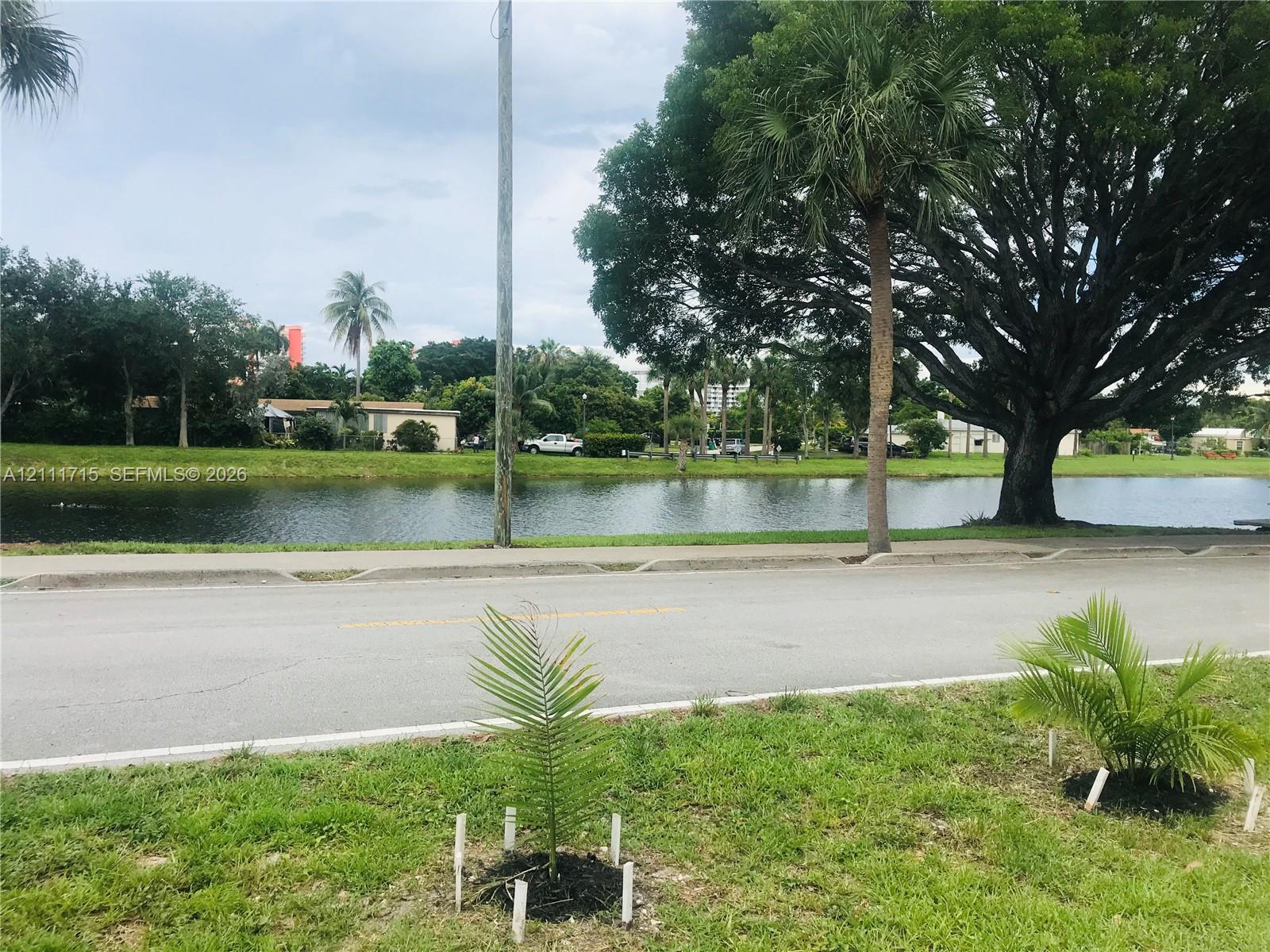 Waterfront lot featuring a landscaped grass area, mature trees, and palms