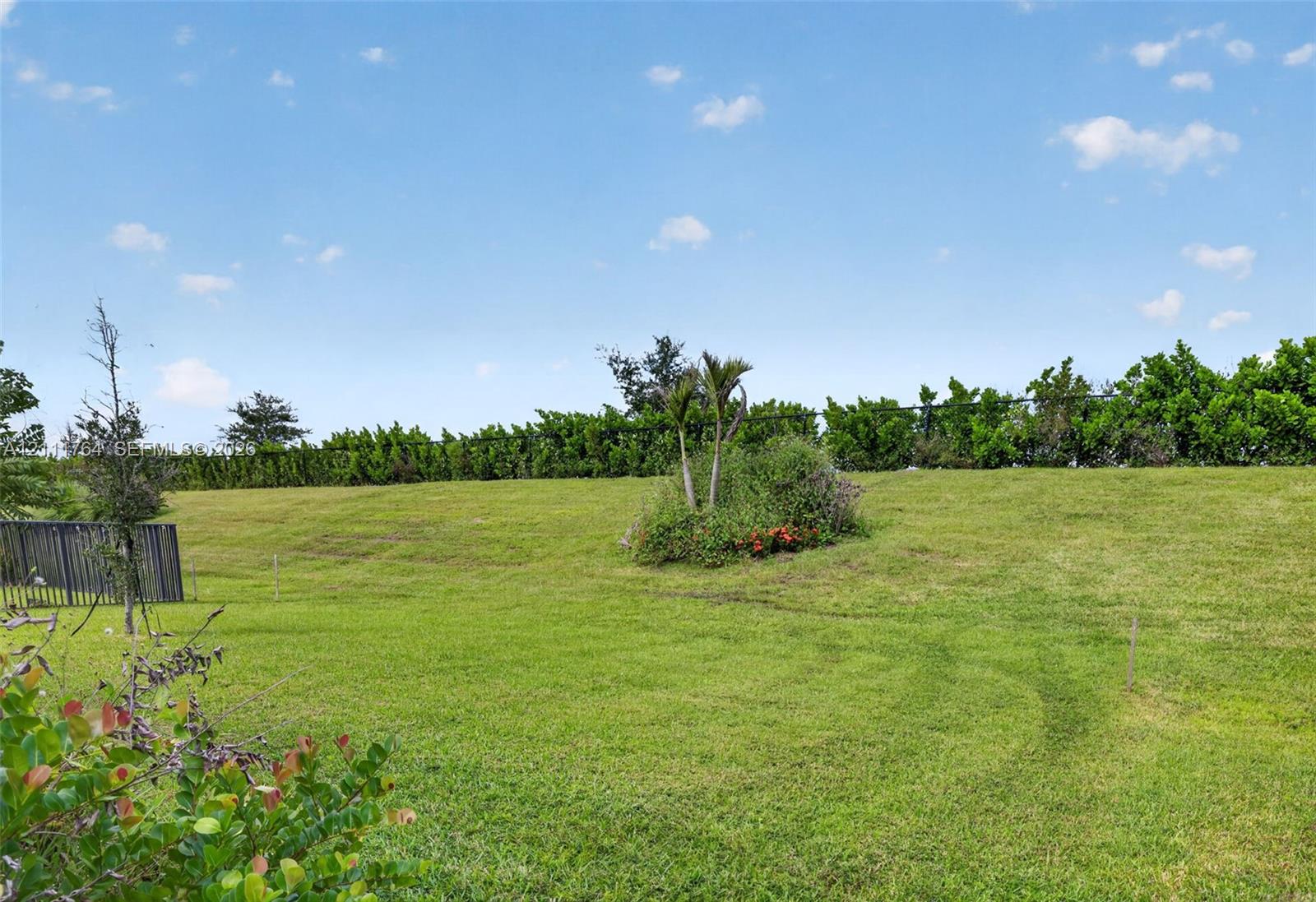 Expansive grass lawn featuring mature shrubbery and a perimeter hedge line