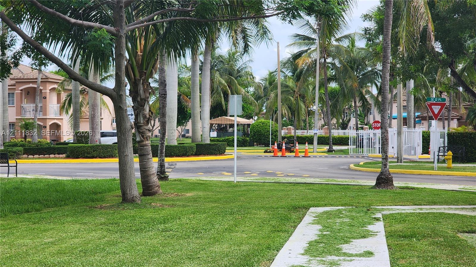 Manicured lawn, mature palm trees, and paved pathways