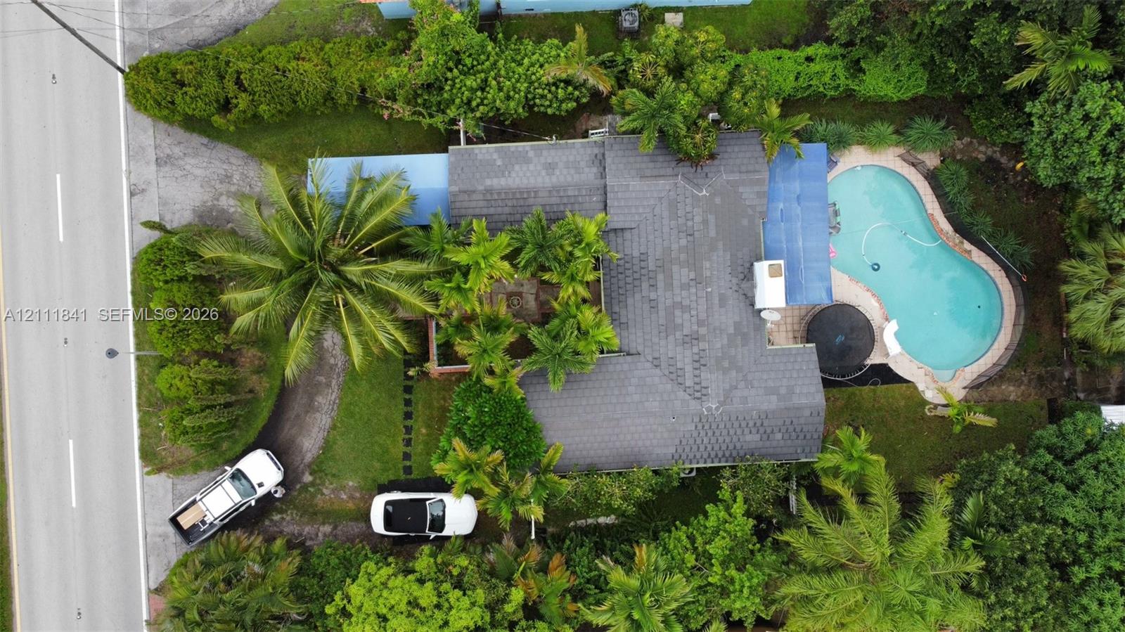 Aerial view featuring a multi-hipped shingle roof, kidney-shaped swimming pool, mature palm tree landscaping, and a paved driveway