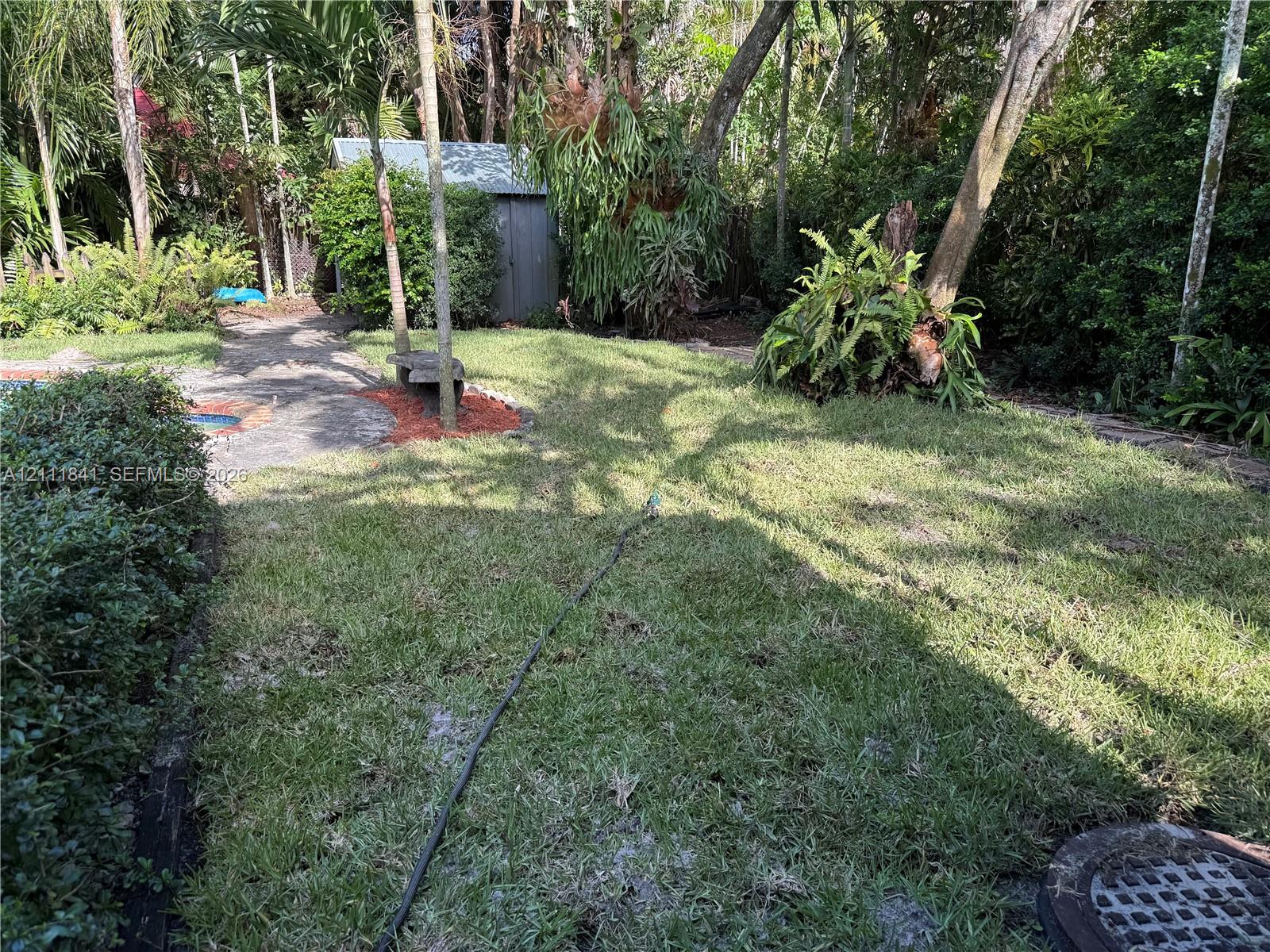 Backyard featuring a grass lawn, mature trees, dense perimeter vegetation, a stone pathway, and a detached storage structure