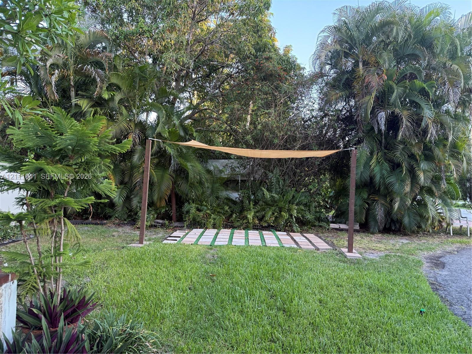 Backyard featuring a paved patio area, a tension shade canopy, mature palm trees, and dense foliage