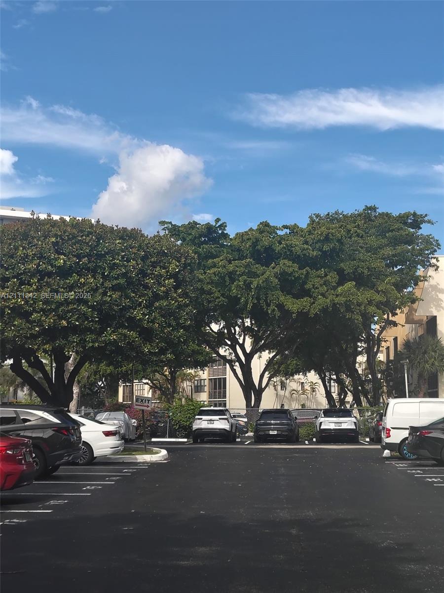 Asphalt parking lot featuring painted stall markings and mature canopy trees