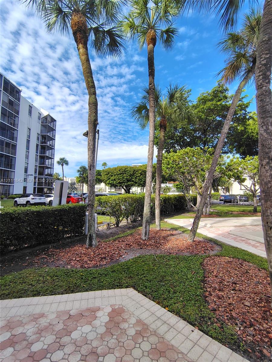 Landscaped grounds featuring mature palm trees, manicured hedges, patterned paver hardscaping, and defined mulch beds
