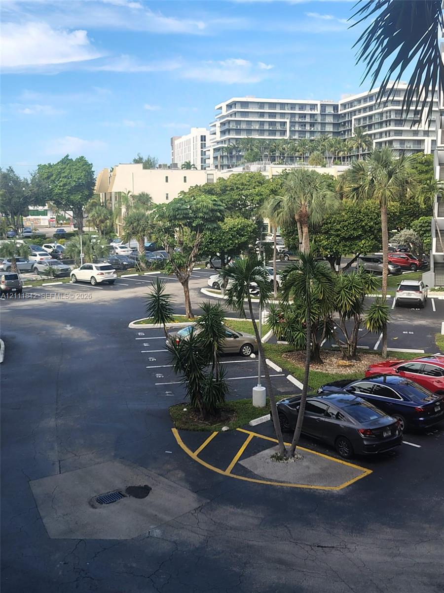 Paved surface parking area featuring designated stalls and mature palm tree landscaping