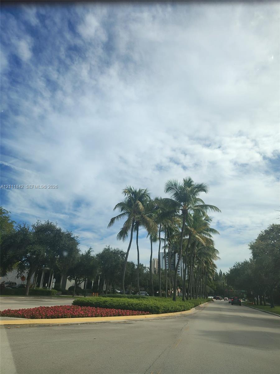 Mature palm trees, landscaped shrubbery, and red floral accents lining the paved roadway