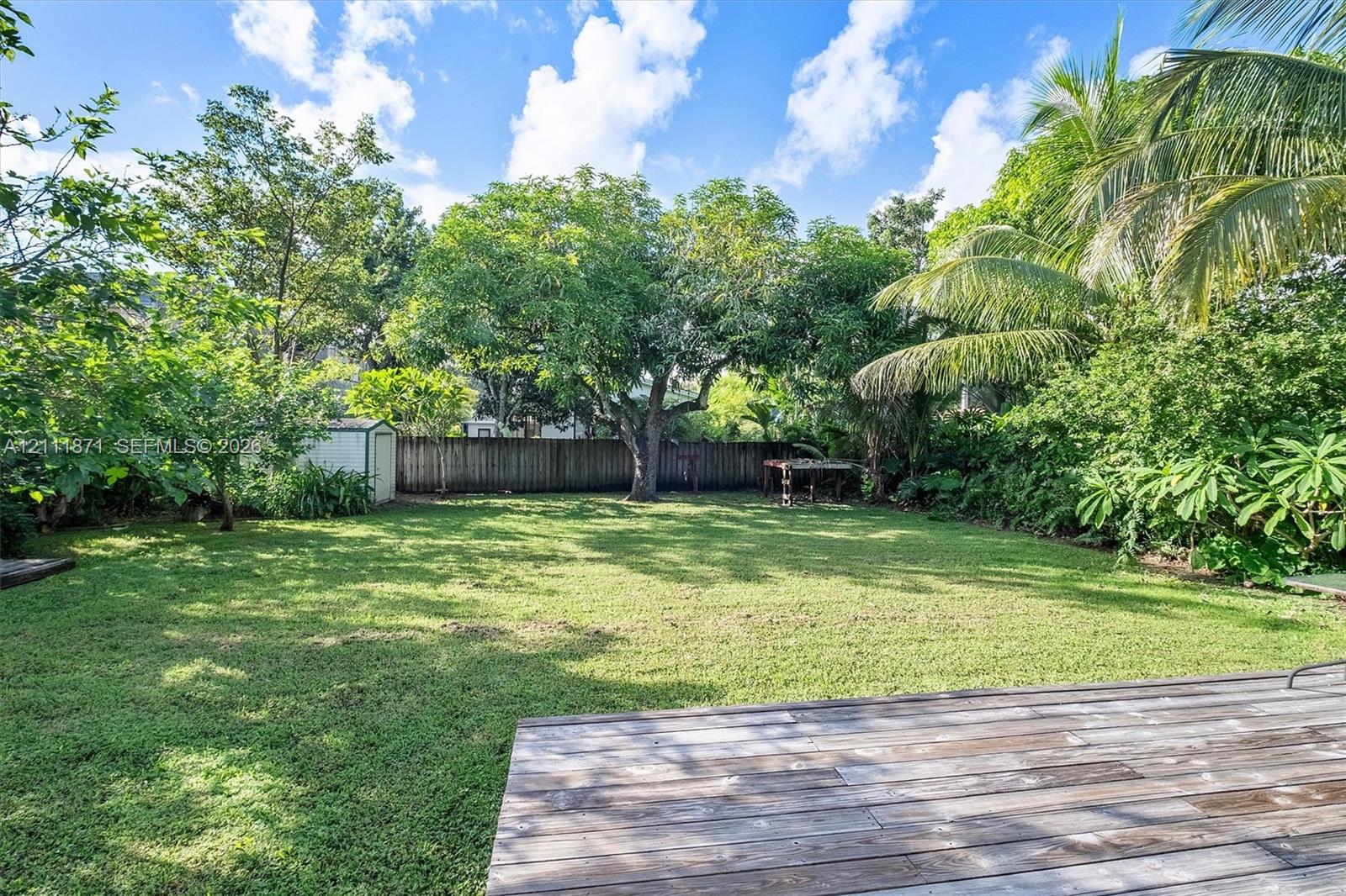 Backyard