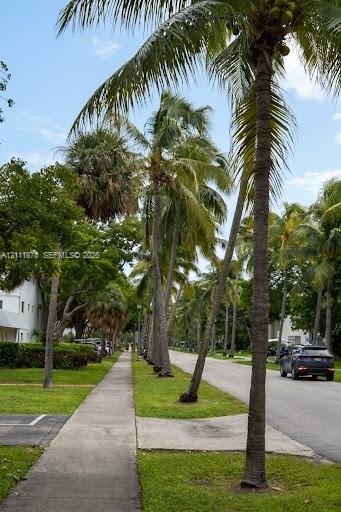 Streetscape featuring mature palm trees, paved concrete sidewalk, and maintained grass borders