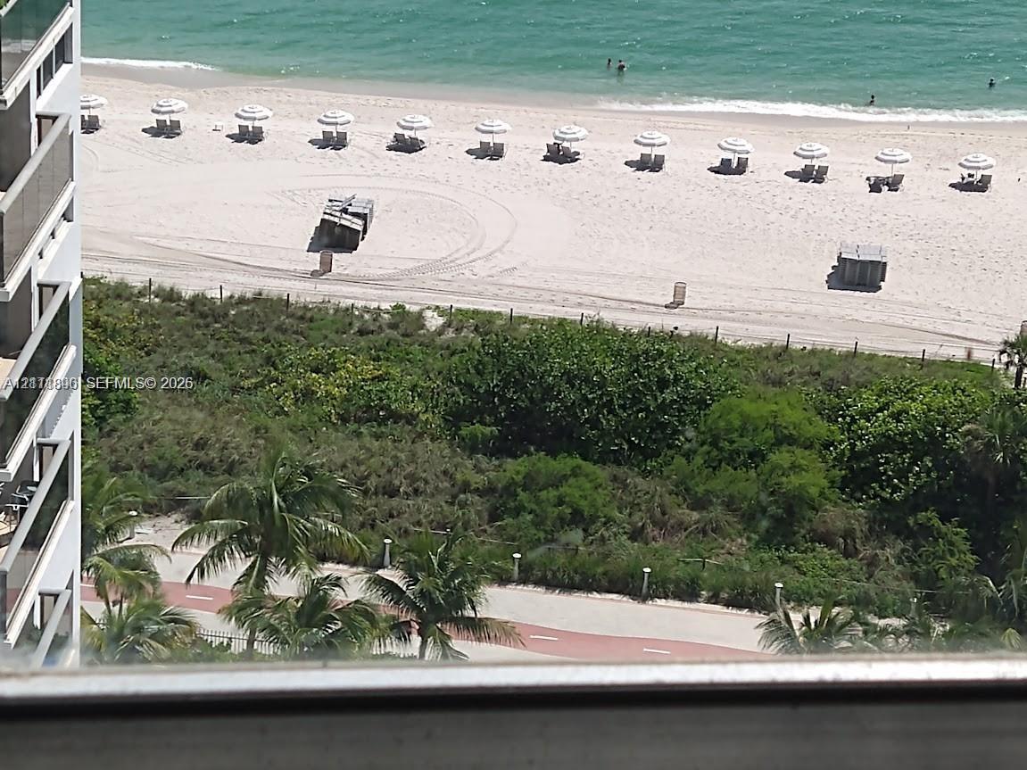Elevated balcony featuring tiered glass railings, direct ocean exposure, and a paved pedestrian pathway with mature palm trees Elevated balcony featuring tiered glass railings, direct ocean exposure, and a paved pedestrian pathway with mature palm trees