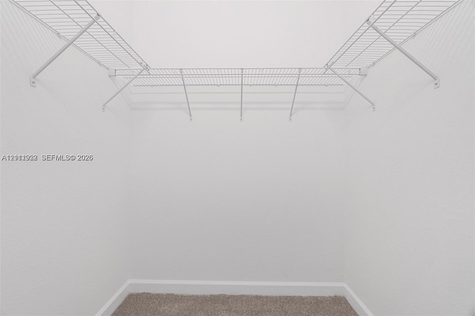Walk-in storage space featuring neutral carpeting and built-in white wire shelving