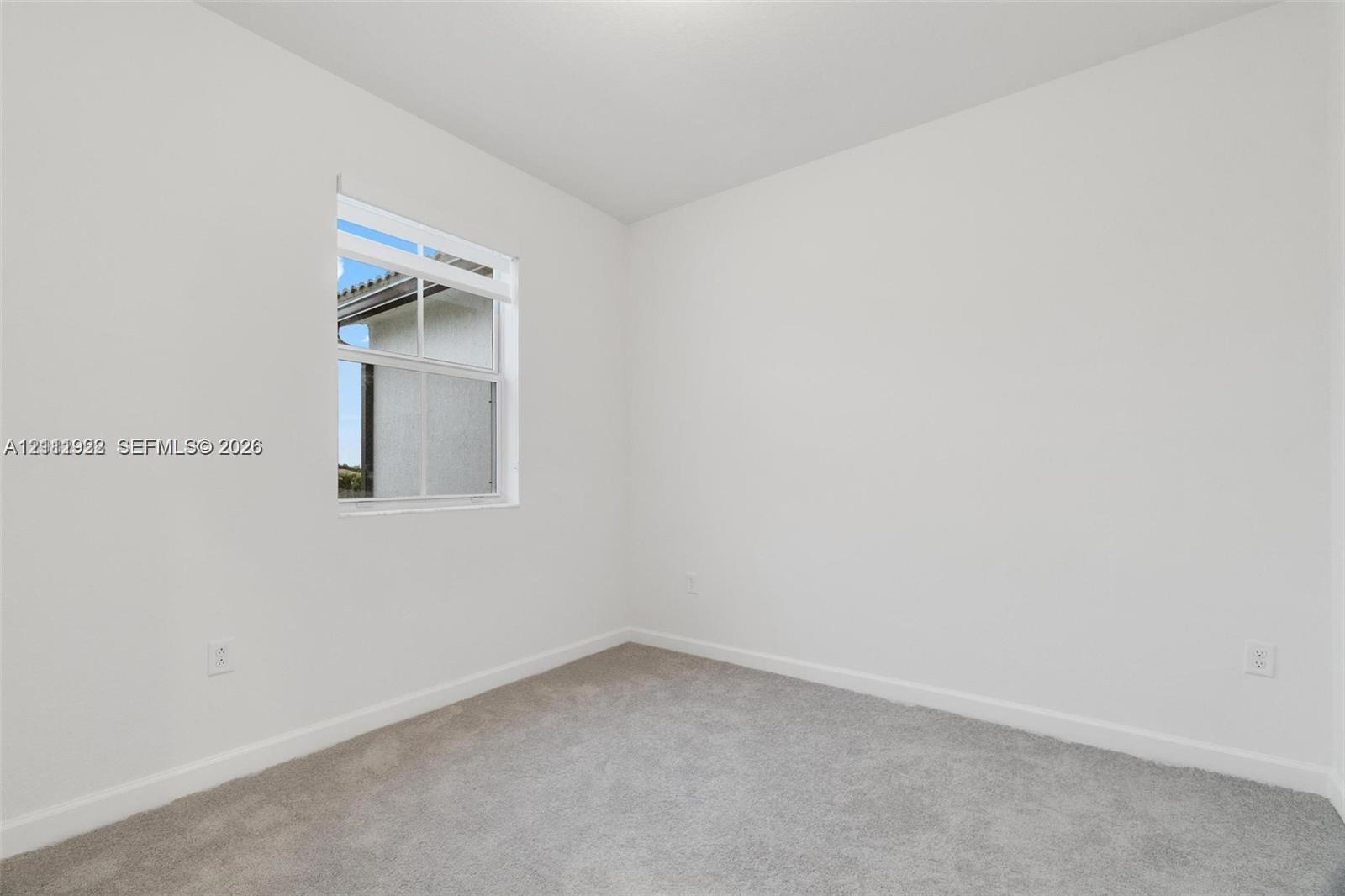Neutral interior space featuring high-contrast white walls, textured wall-to-wall carpeting, and a single-hung window with a grid pattern
