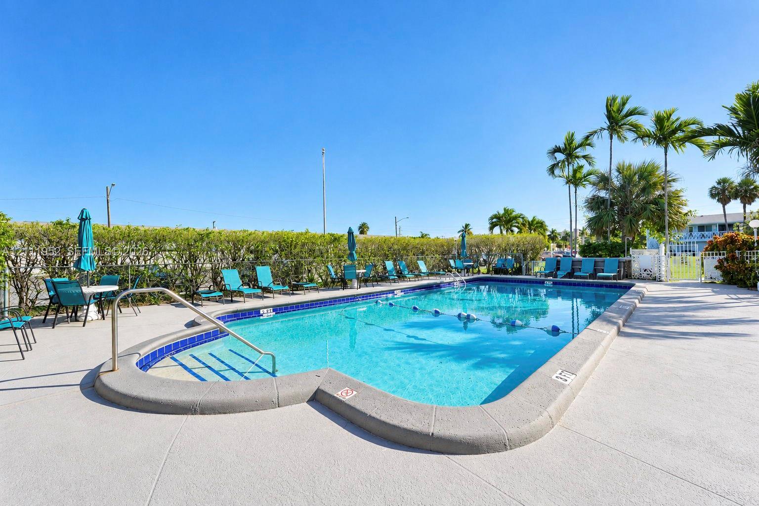 Rectangular swimming pool featuring a concrete deck, tiled waterline, metal handrail, and integrated entry steps, surrounded by mature perimeter shrubbery and palm trees