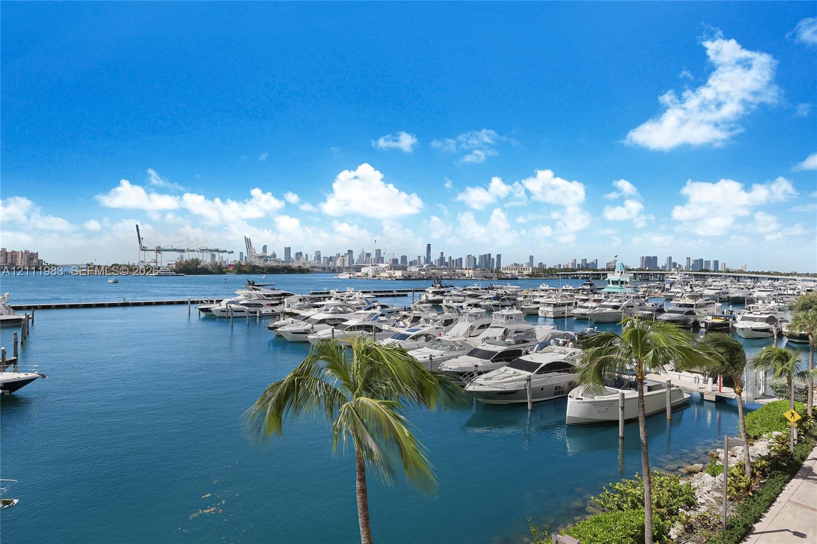 Bay, marina, and a panoramic skyline backdrop