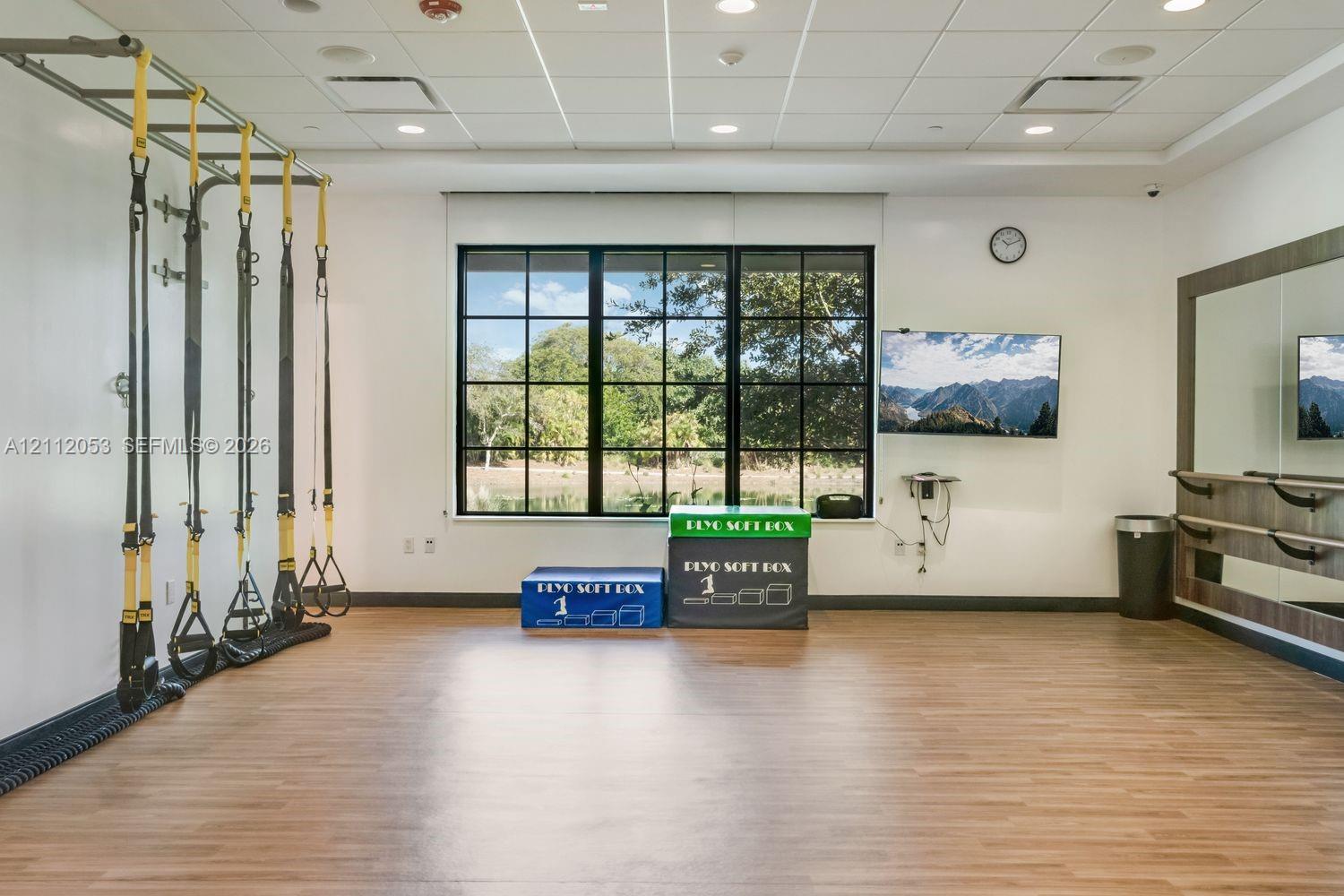 Fitness space featuring wood-finish flooring, a wall-mounted pull-up rig, a full-length wall mirror with a mounted barre, recessed ceiling lighting, and large windows with black mullions