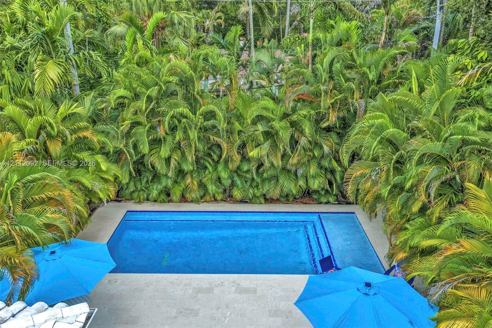 Rectangular in-ground swimming pool with integrated tiered entry steps and stone paver decking, surrounded by mature palm trees
