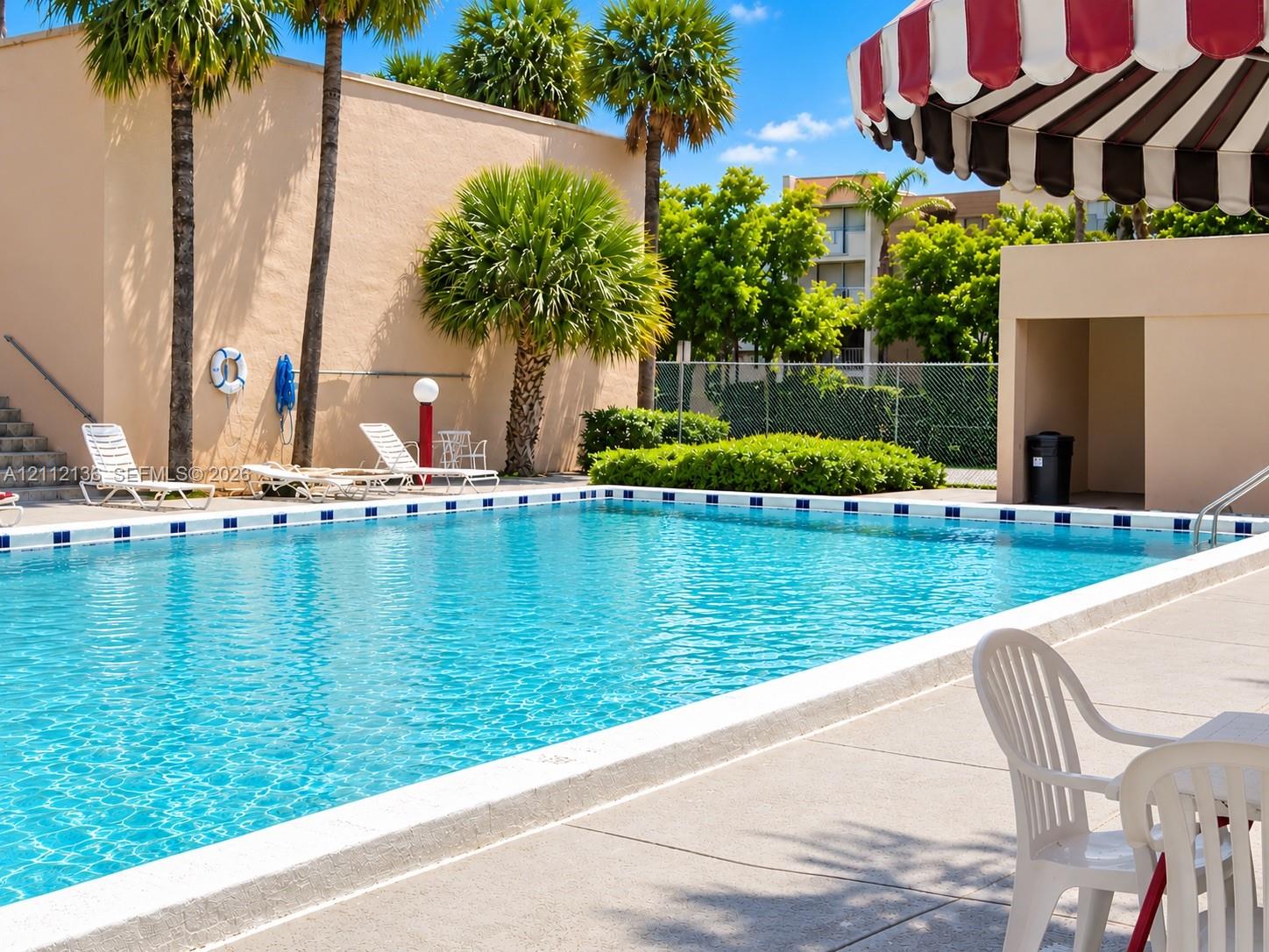 Swimming pool with a tile-bordered edge, expansive concrete deck, and mature palm trees