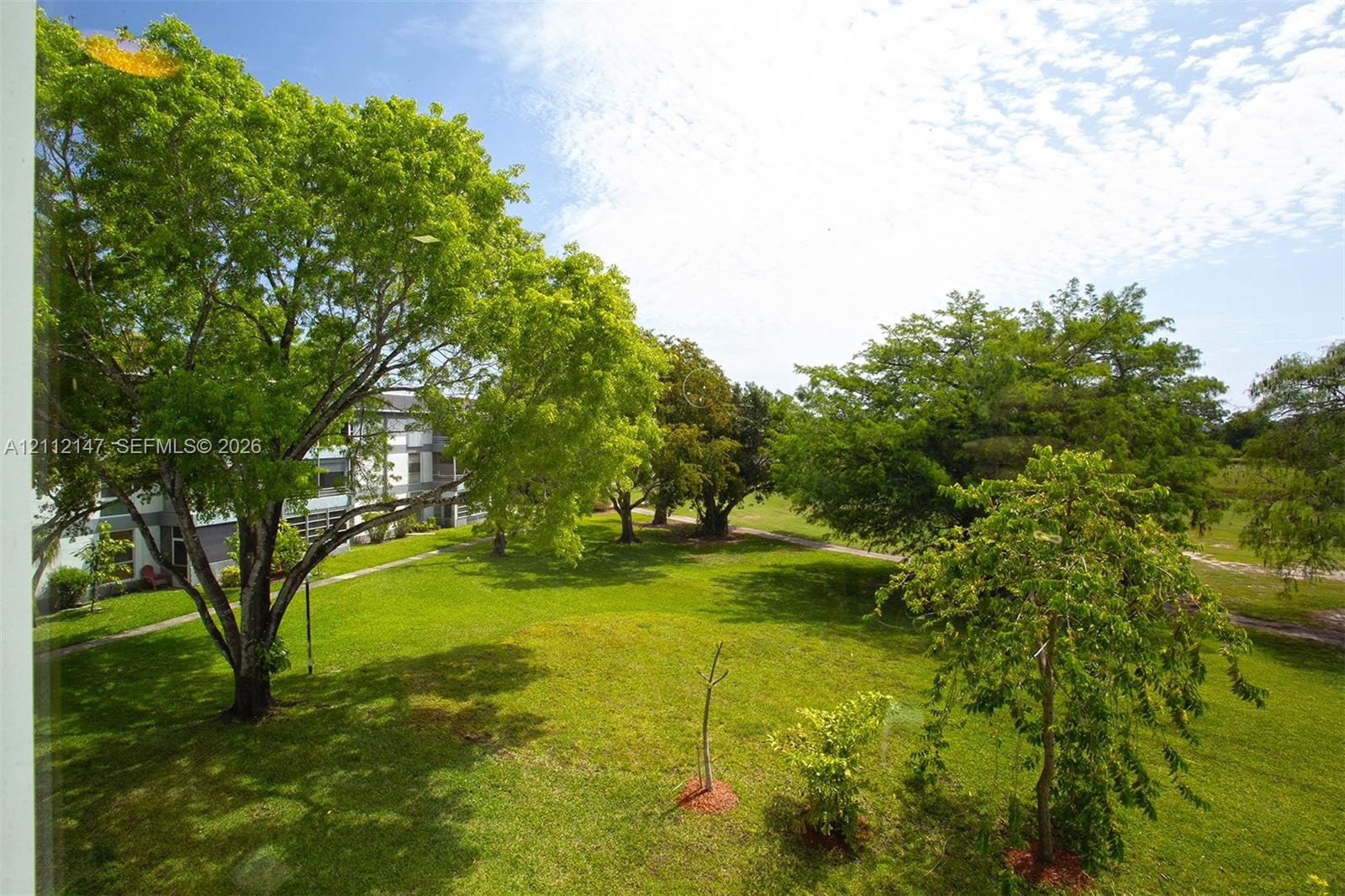 Expansive lawn featuring mature trees and paved walkway