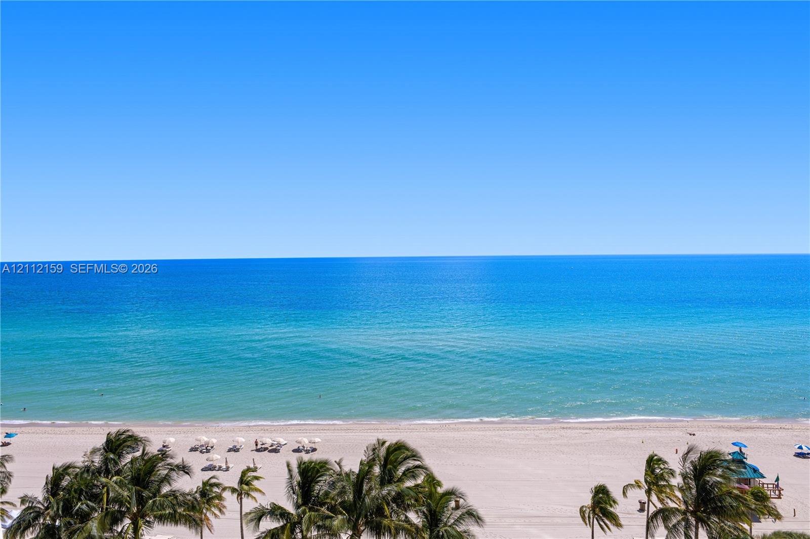 Oceanfront perspective featuring a wide sandy beach, turquoise waters, and mature palm trees Oceanfront perspective featuring a wide sandy beach, turquoise waters, and mature palm trees