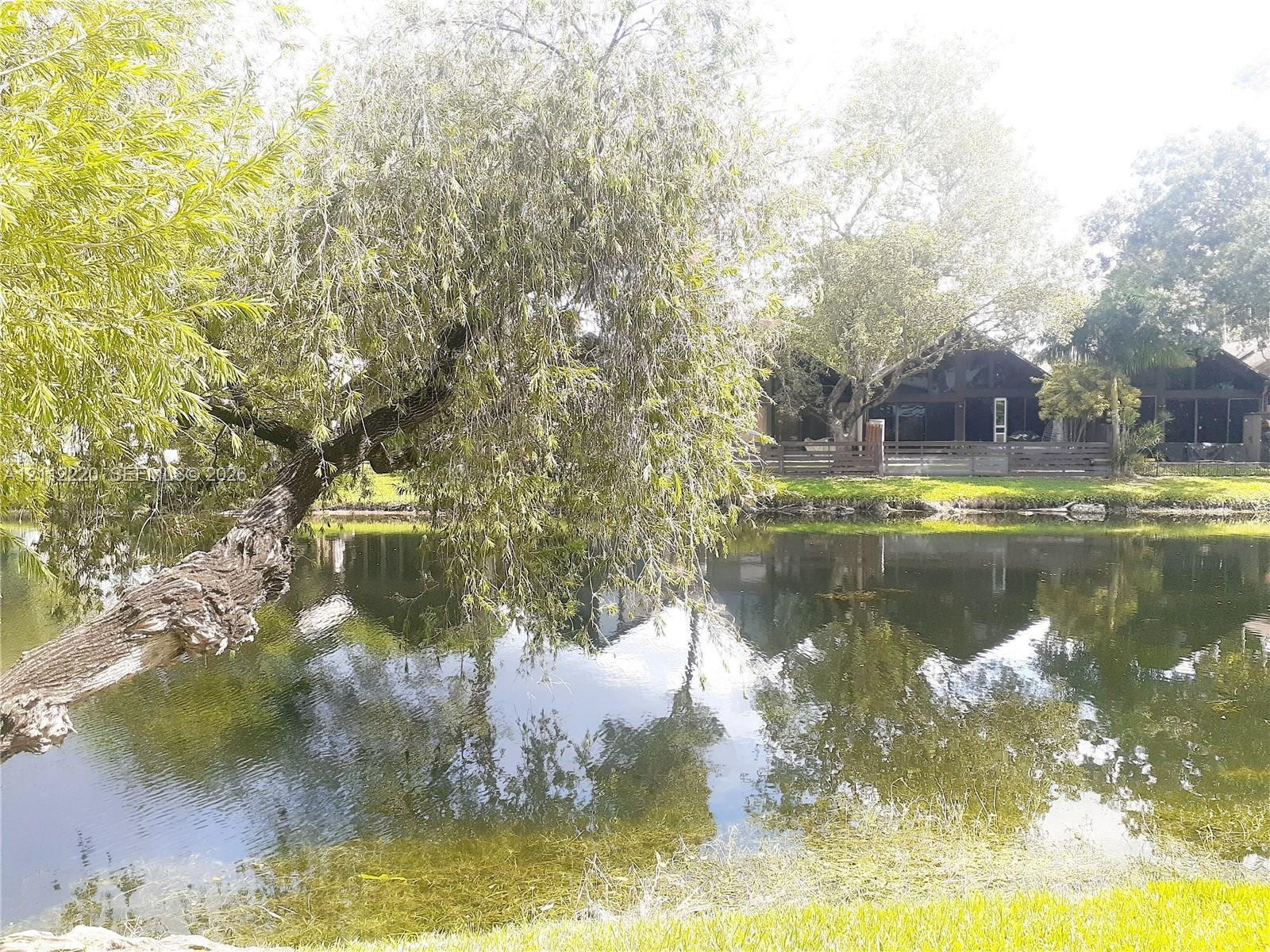 Waterfront lot featuring a natural pond, mature weeping willow tree, and manicured lawn